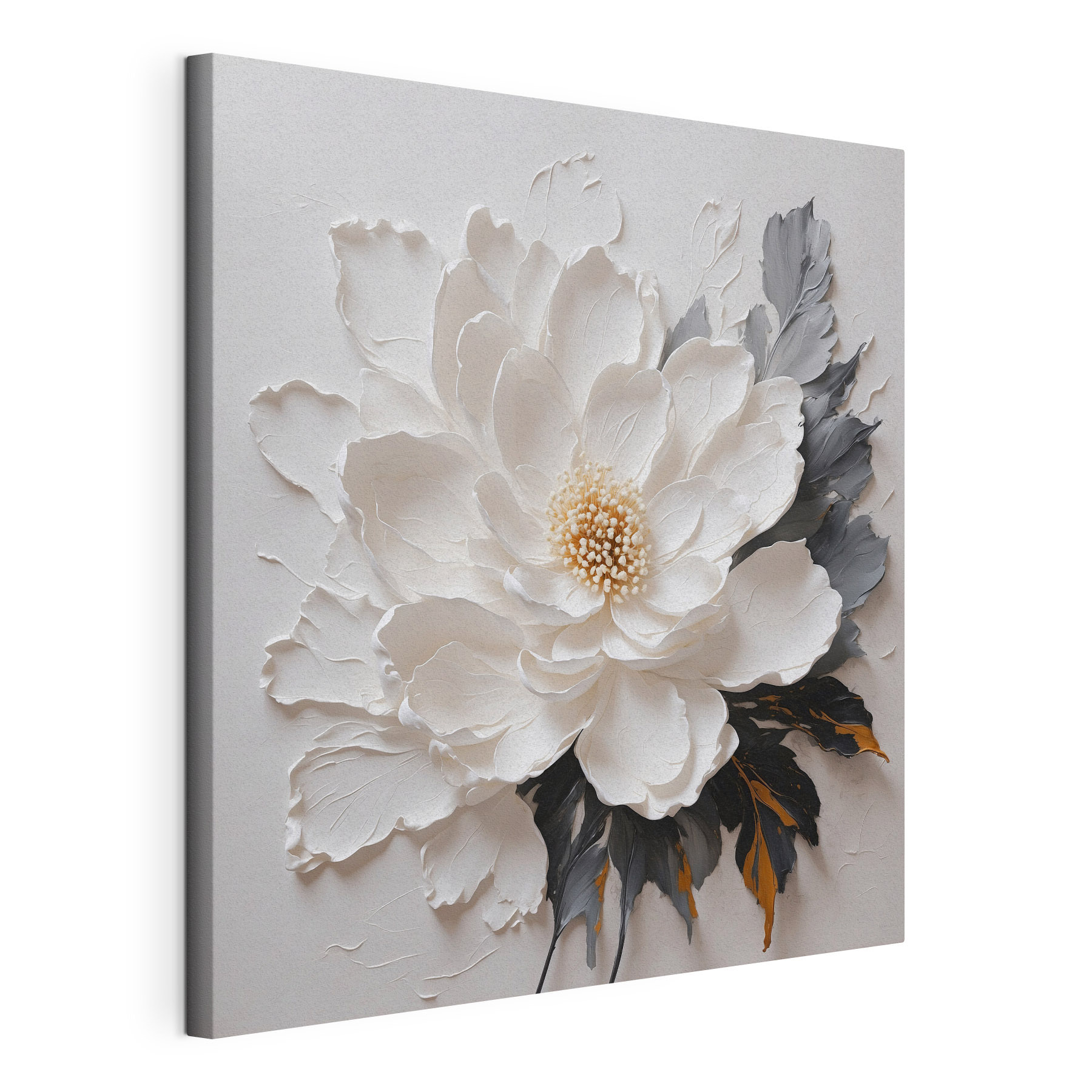 A white flower with black and grey leaves A white flower with black and grey leaves