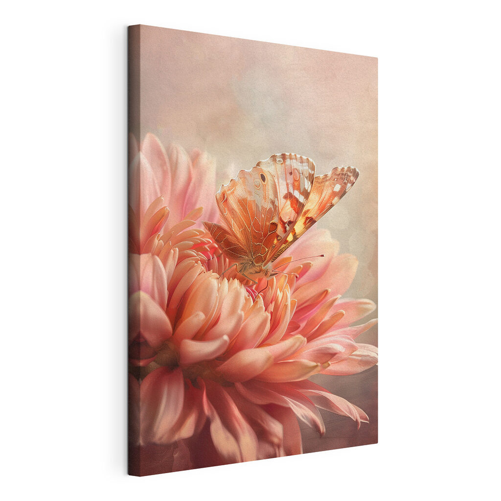 A butterfly on a flower