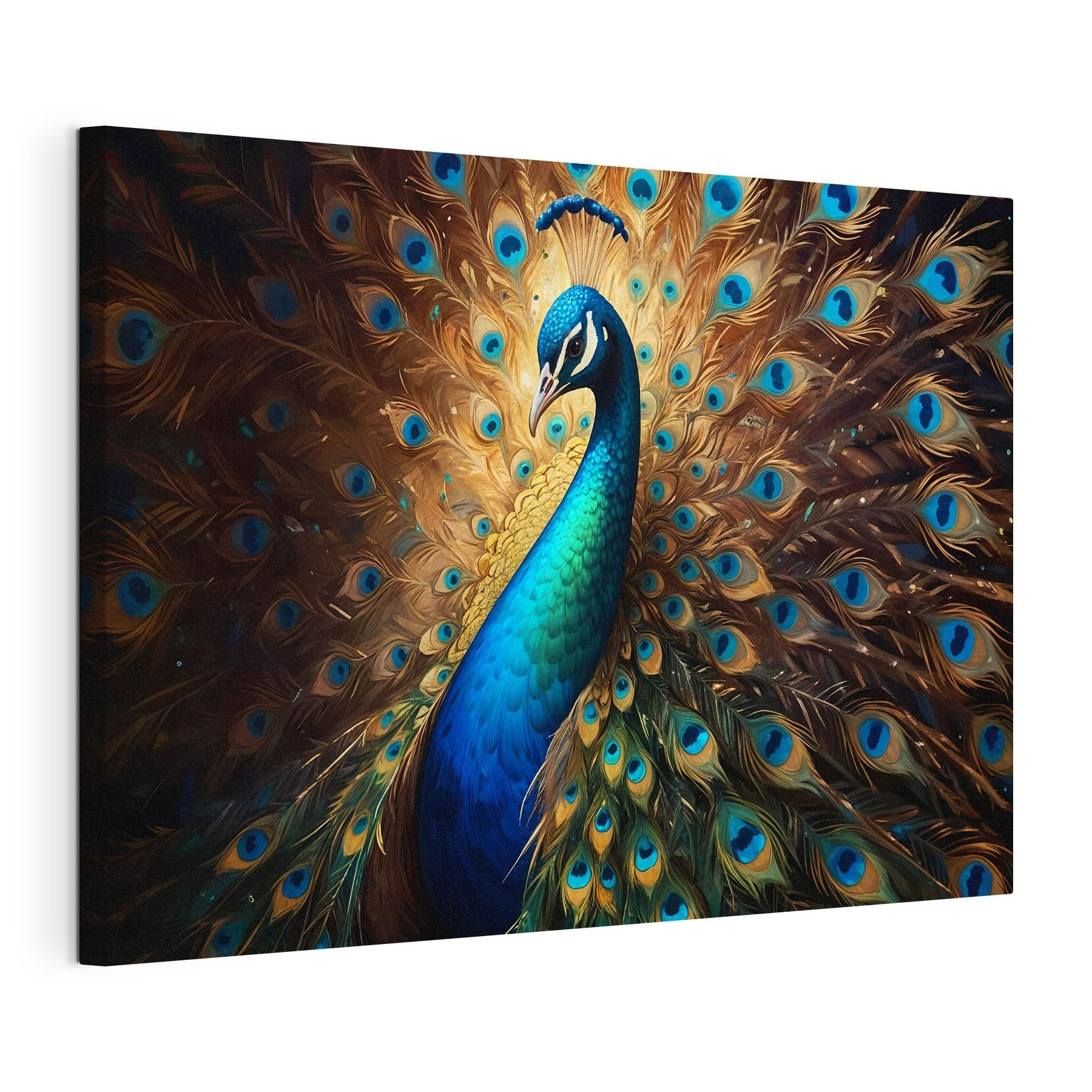 Peacock with its tail feathers spread out