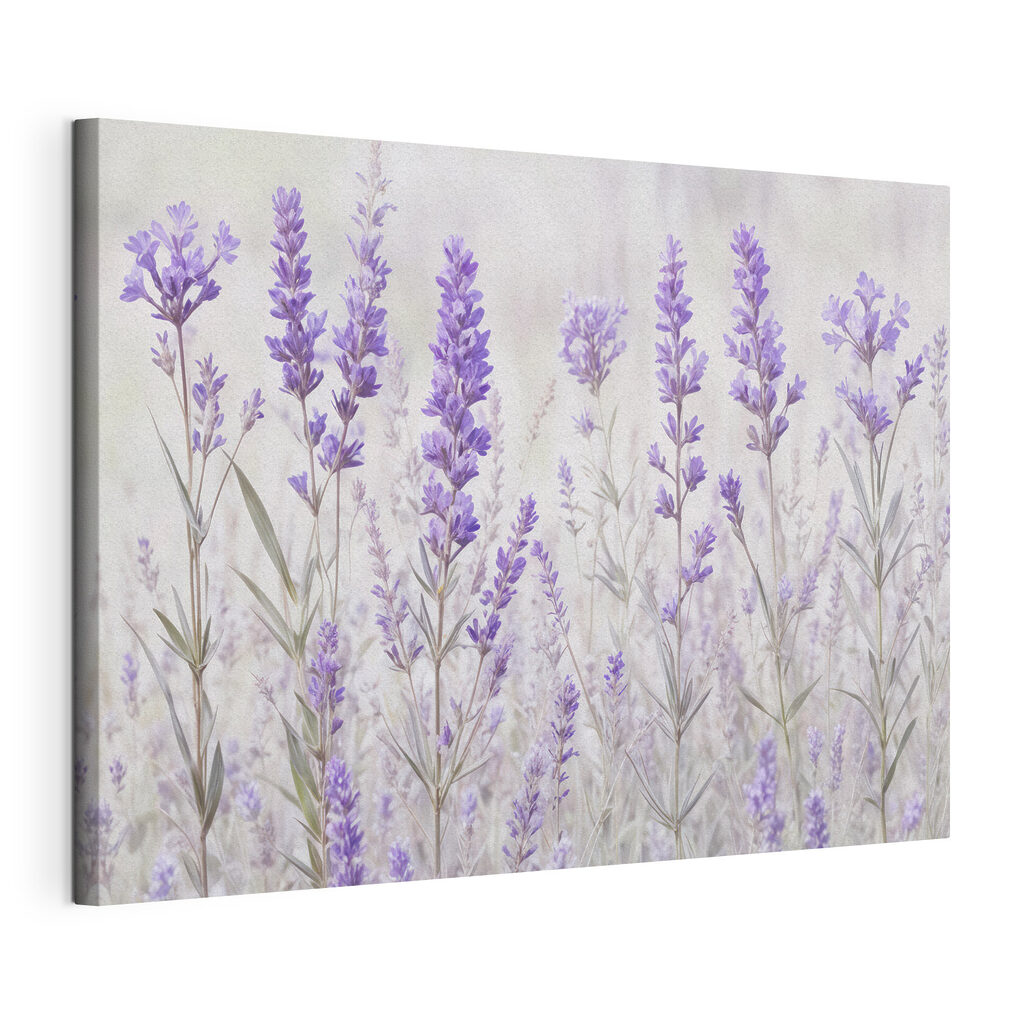 Group of purple flowers Group of purple flowers