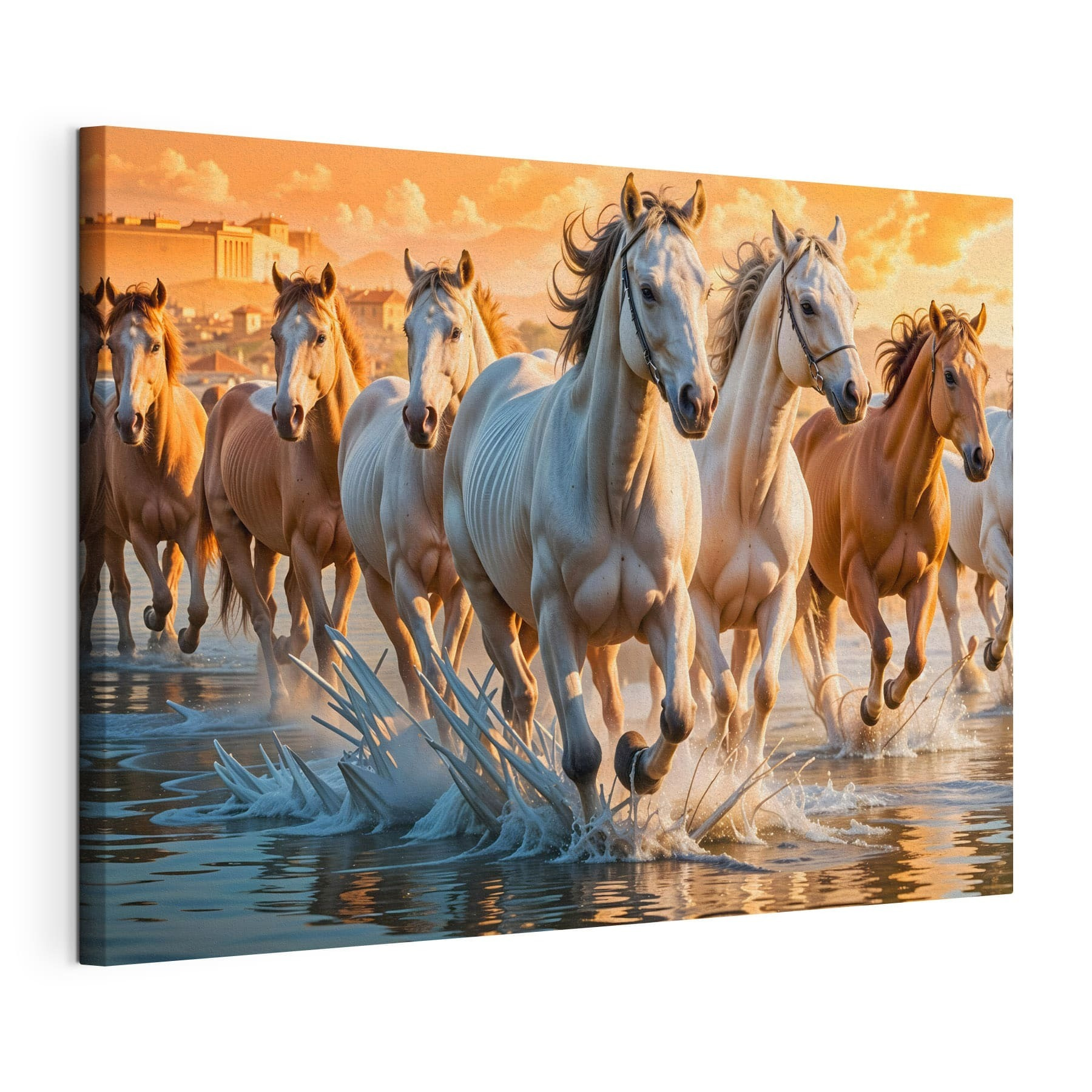 Group of horses running through water