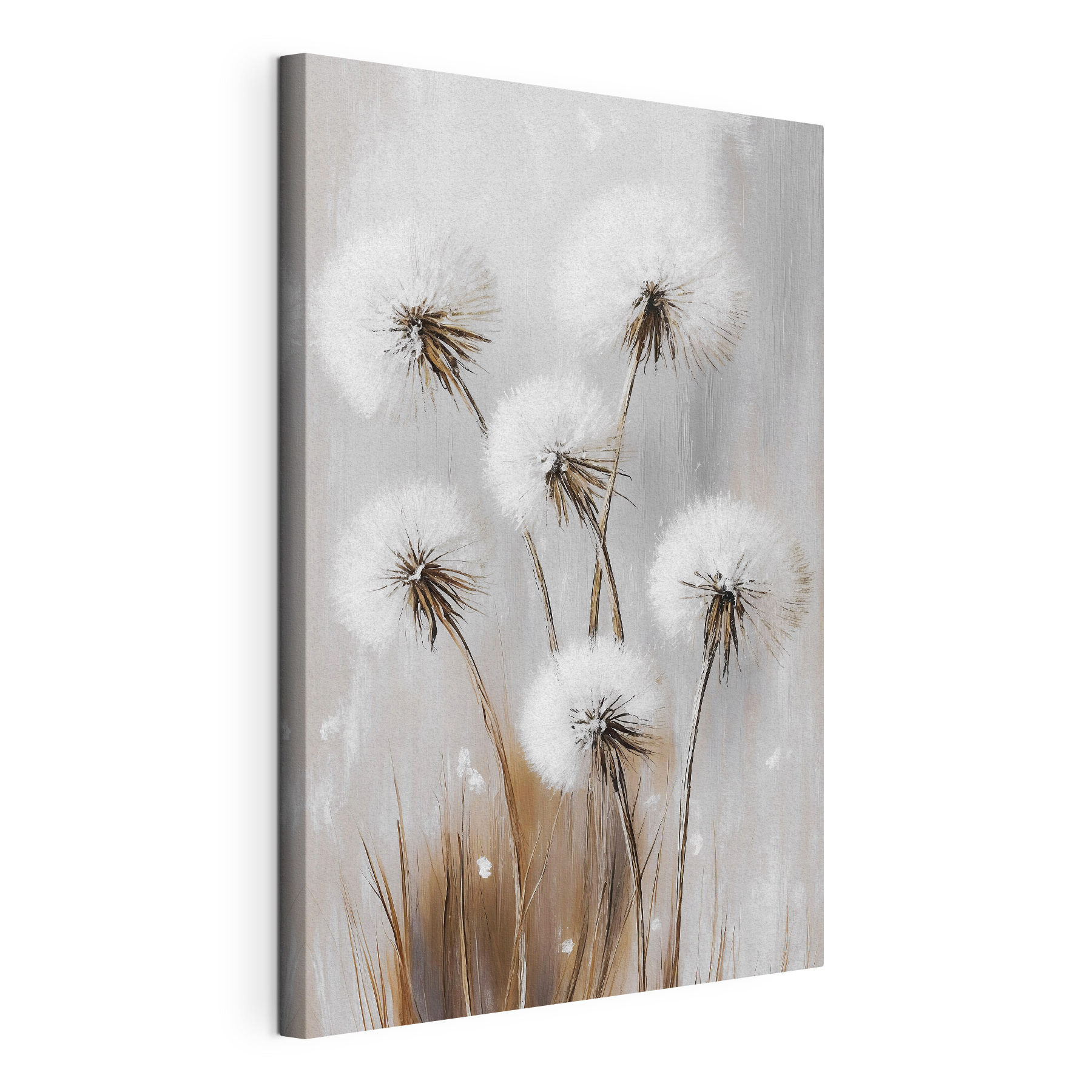 Group of white fluffy flowers