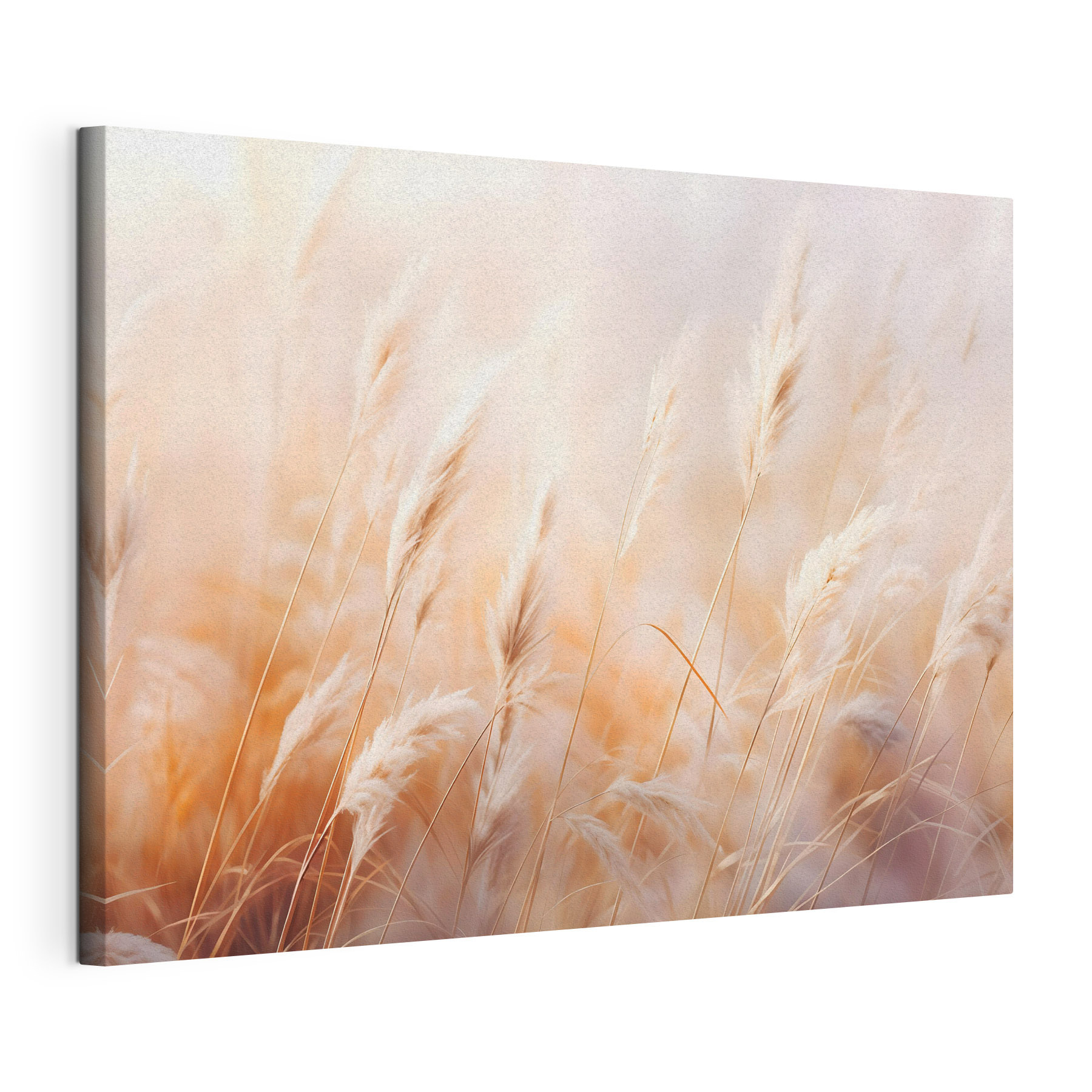 Soft grasses dancing in the breeze