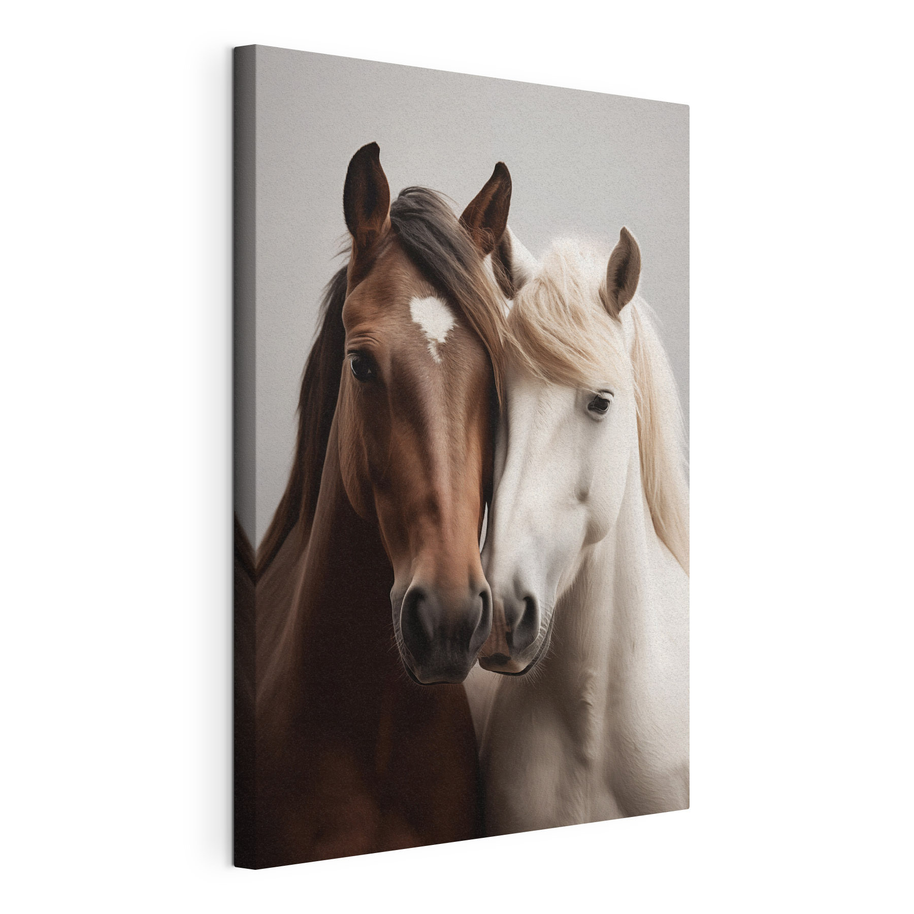Two horses with their heads together Two horses with their heads together