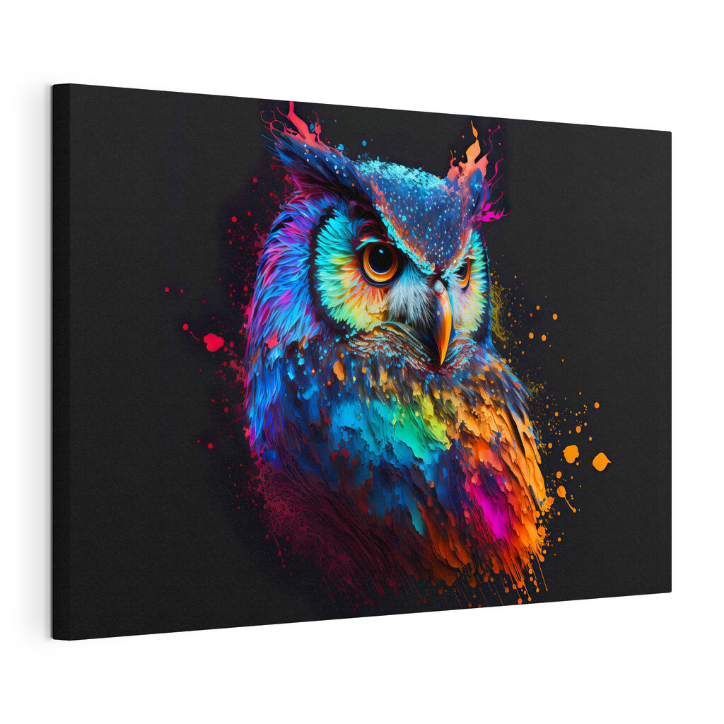 A colorful owl with paint splatters