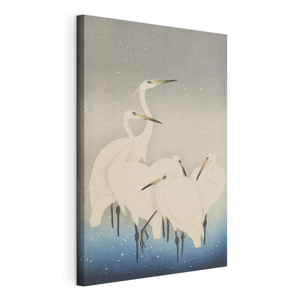 A group of white birds with long beaks A group of white birds with long beaks
