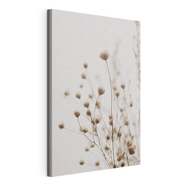 Delicate blooms in soft focus elegance