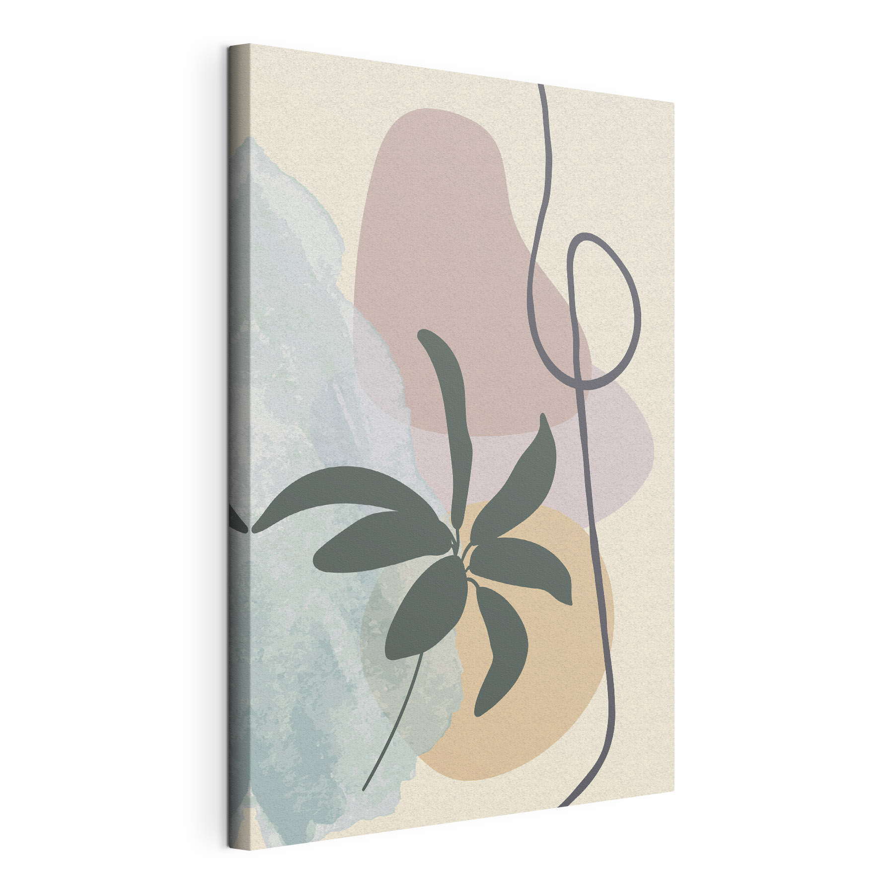 Plant with leaves and a spiral Plant with leaves and a spiral