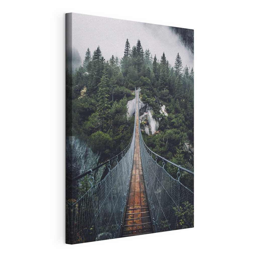 A suspension bridge over a cliff