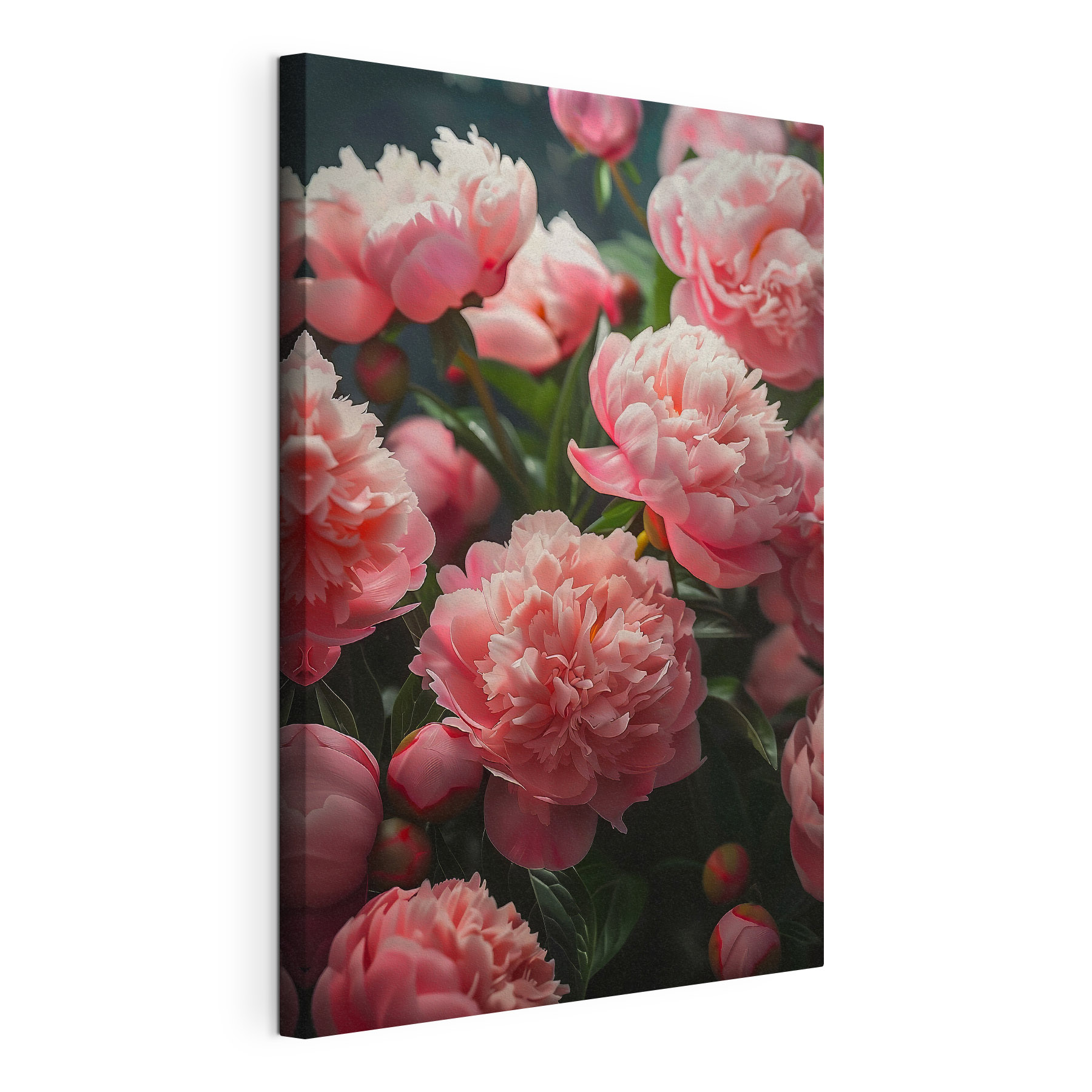 A group of pink flowers