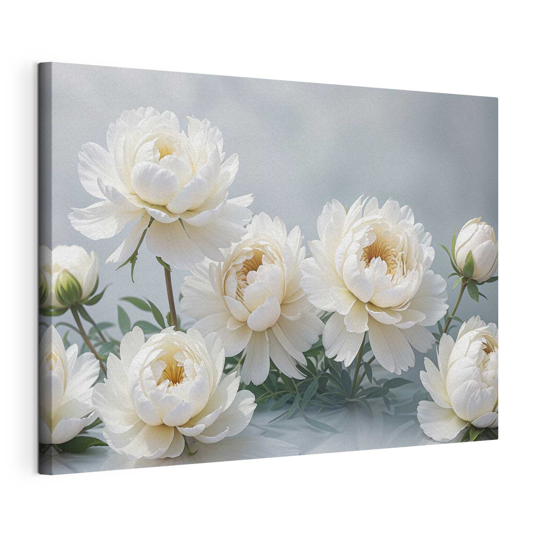 A group of white flowers