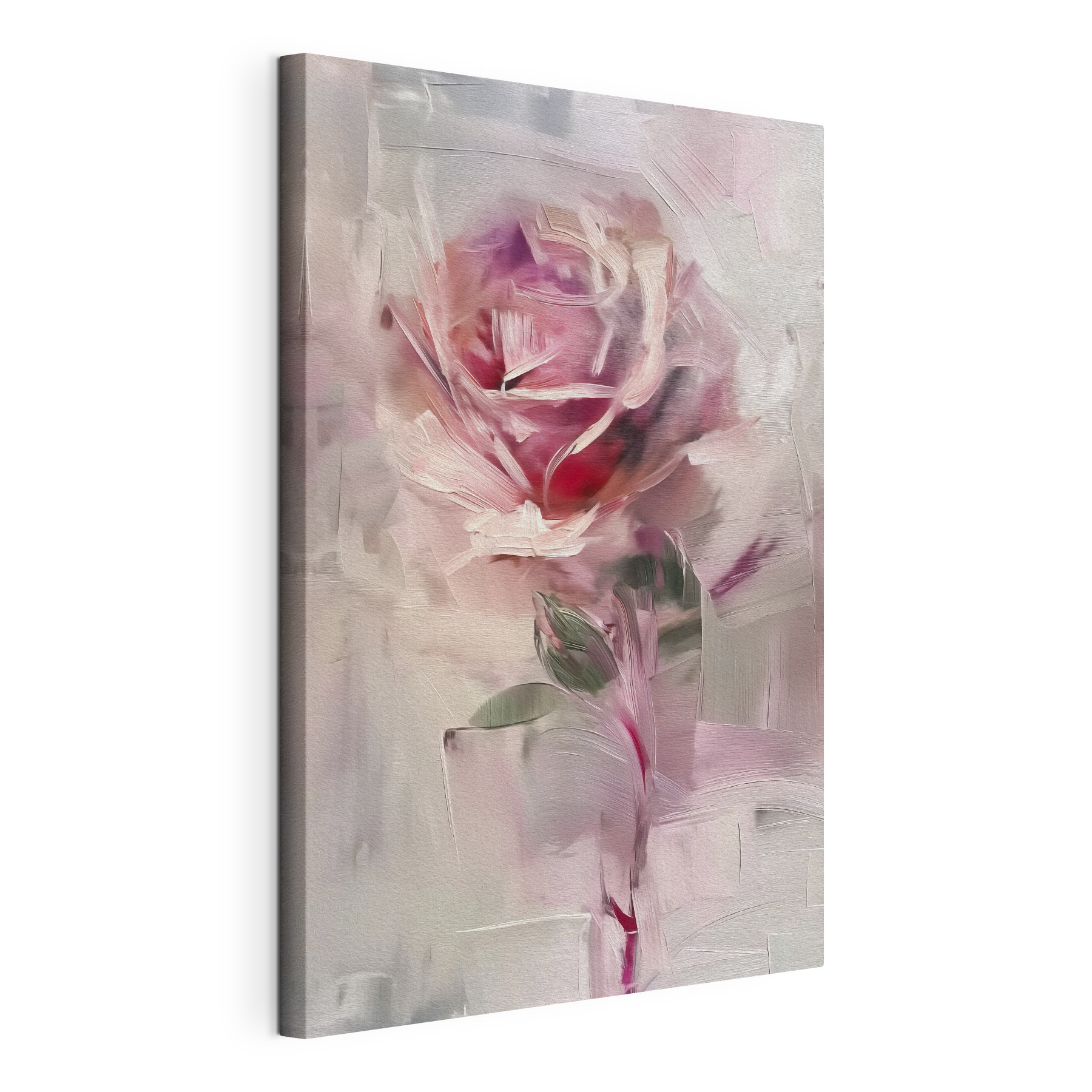 Delicate rose in soft hues