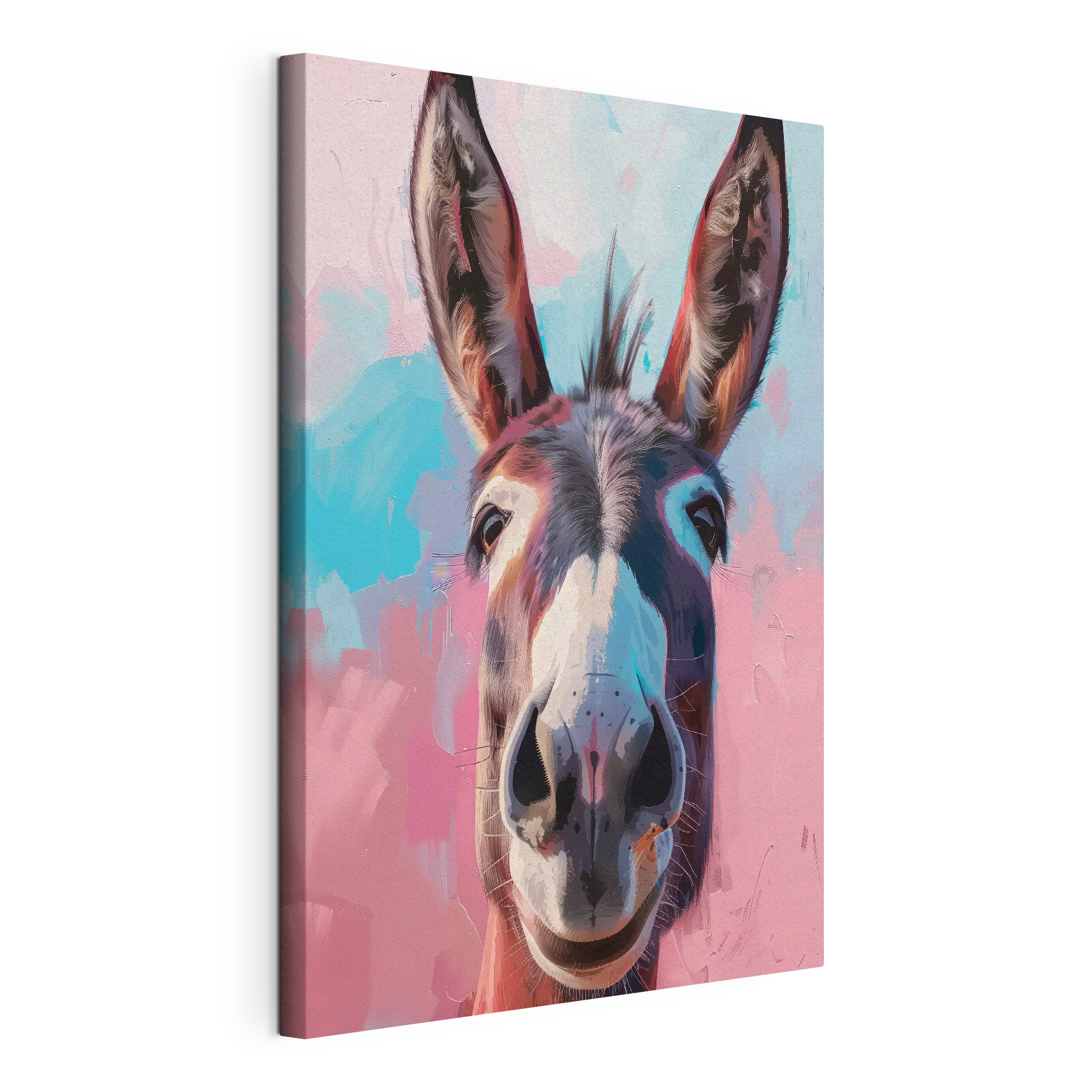 Happy donkey with colorful background Happy donkey with colorful background