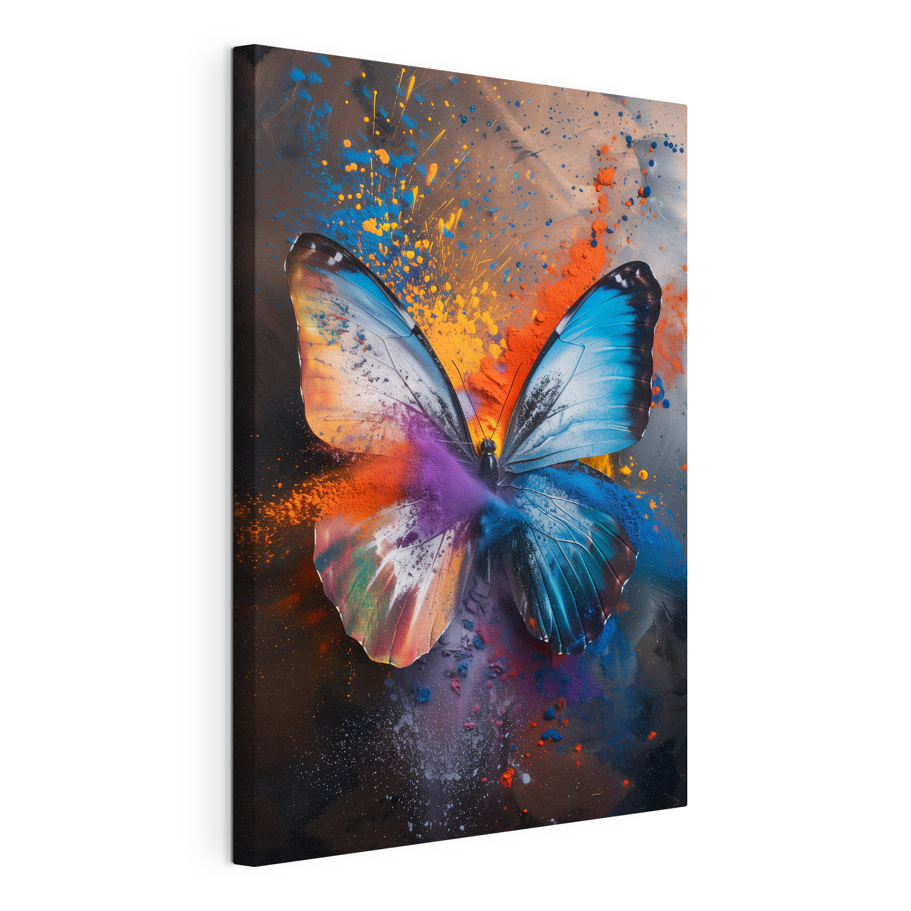 Butterfly with colorful powder Butterfly with colorful powder