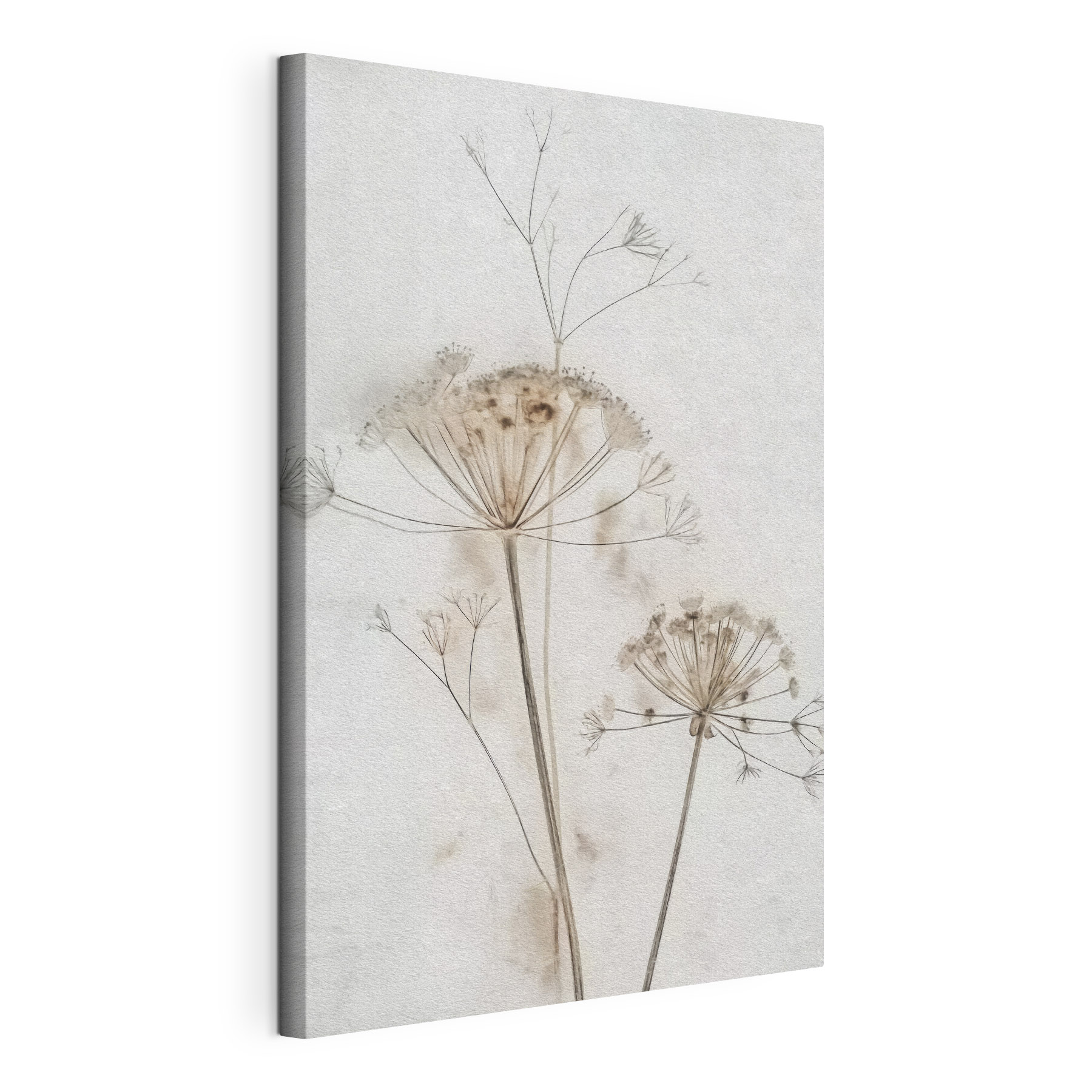 Delicate flowers in soft watercolor tones