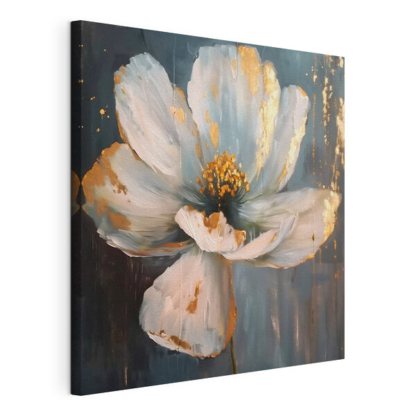 Splashes of light on delicate petals Splashes of light on delicate petals