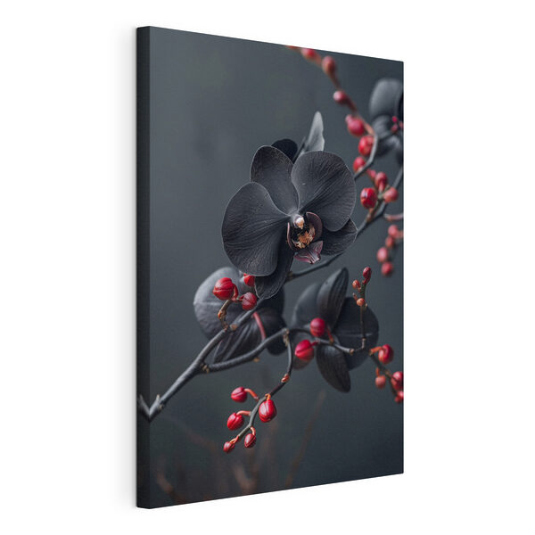 Black flower with red berries Black flower with red berries
