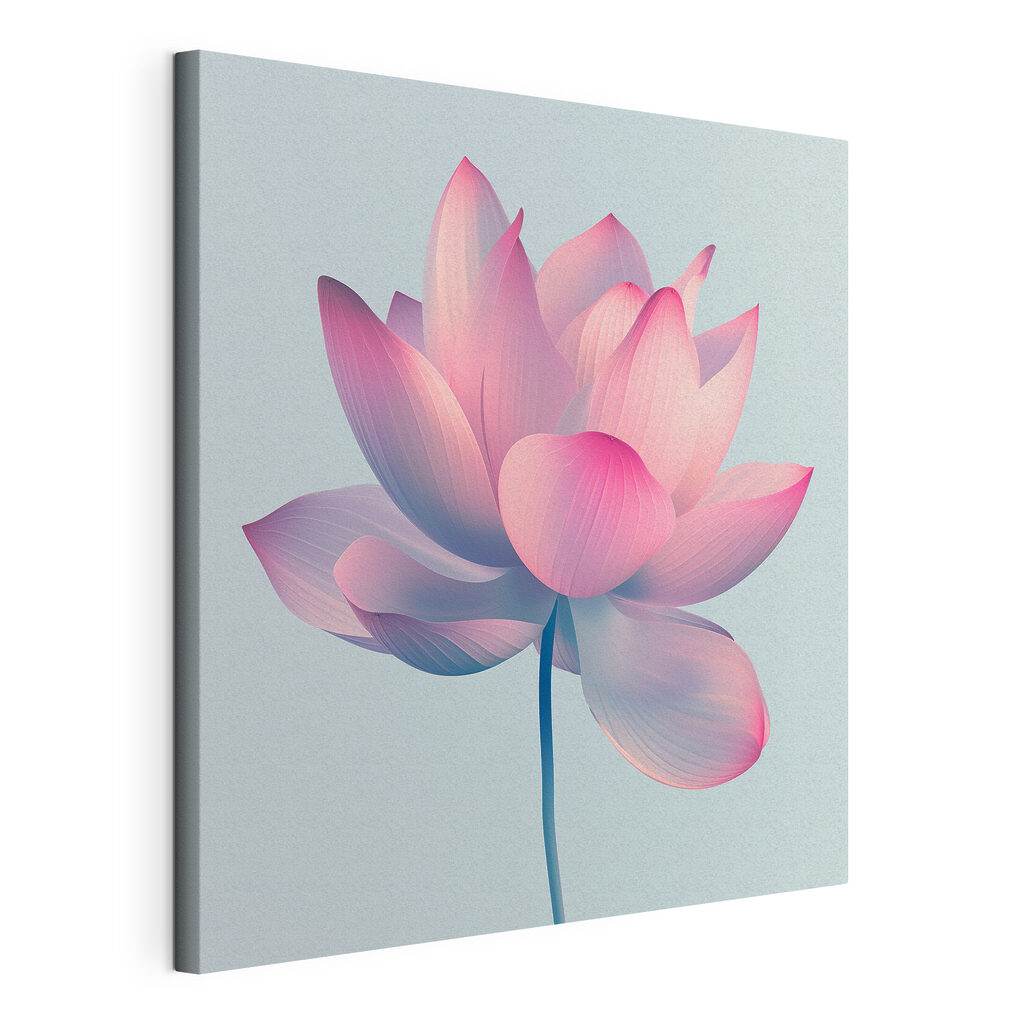 Pink and white flower