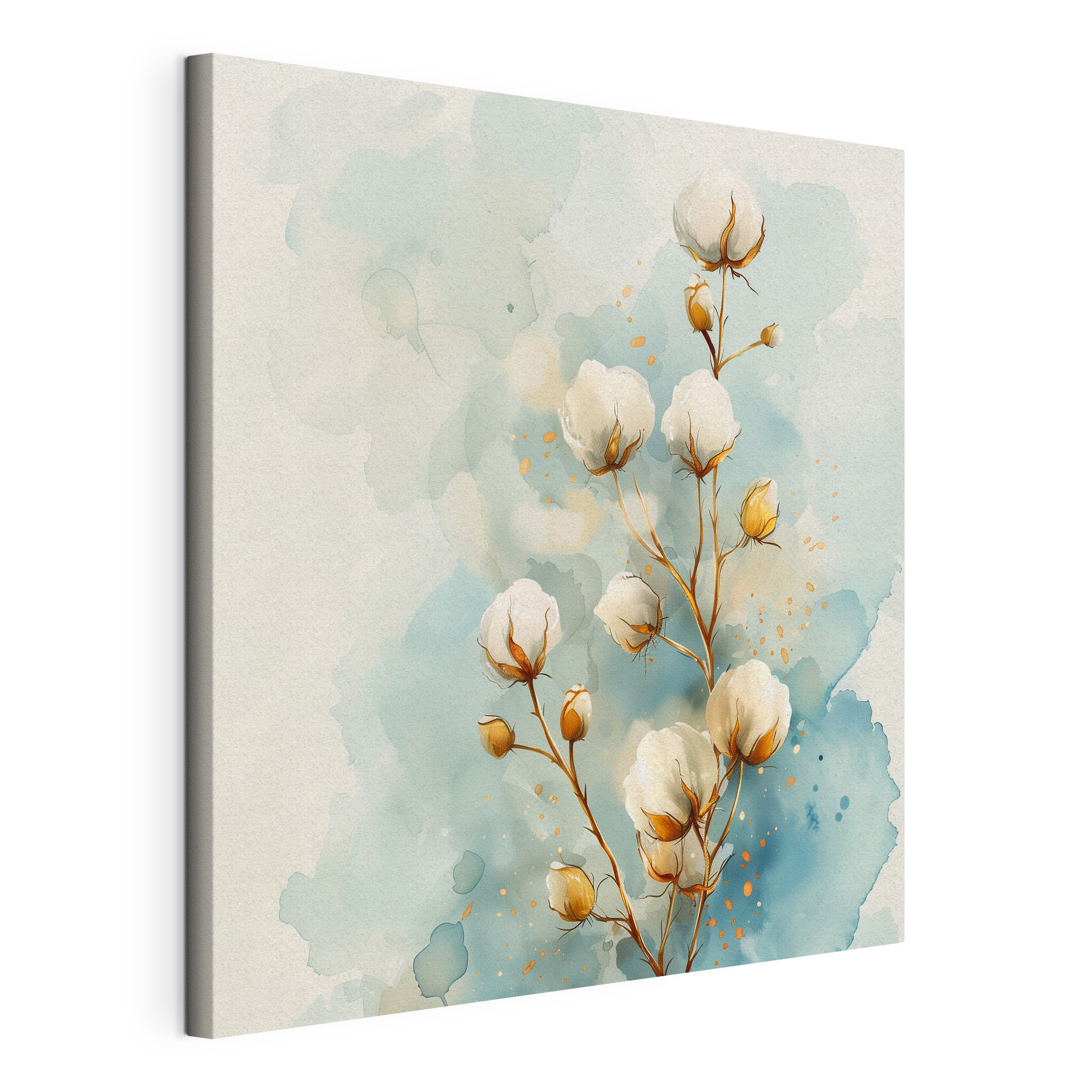Watercolor of cotton flowers
