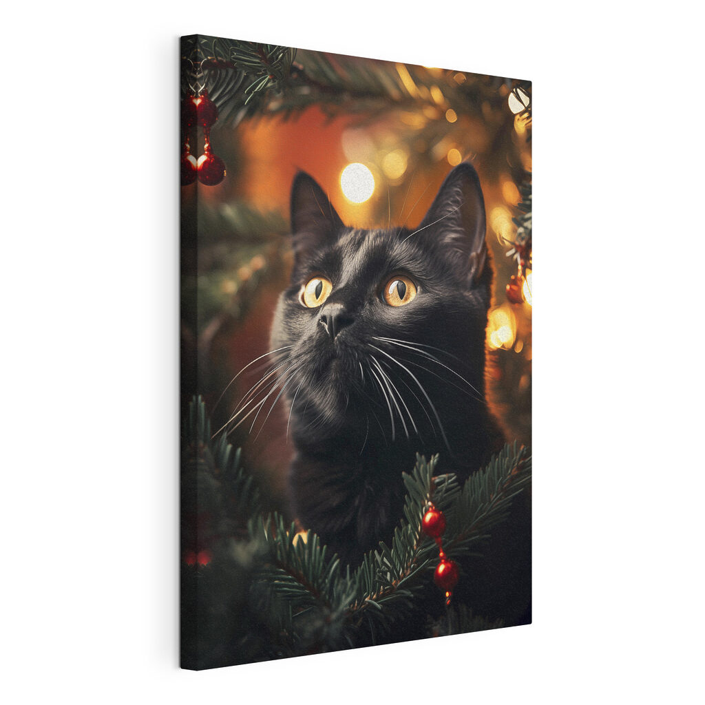 Black cat with yellow eyes
