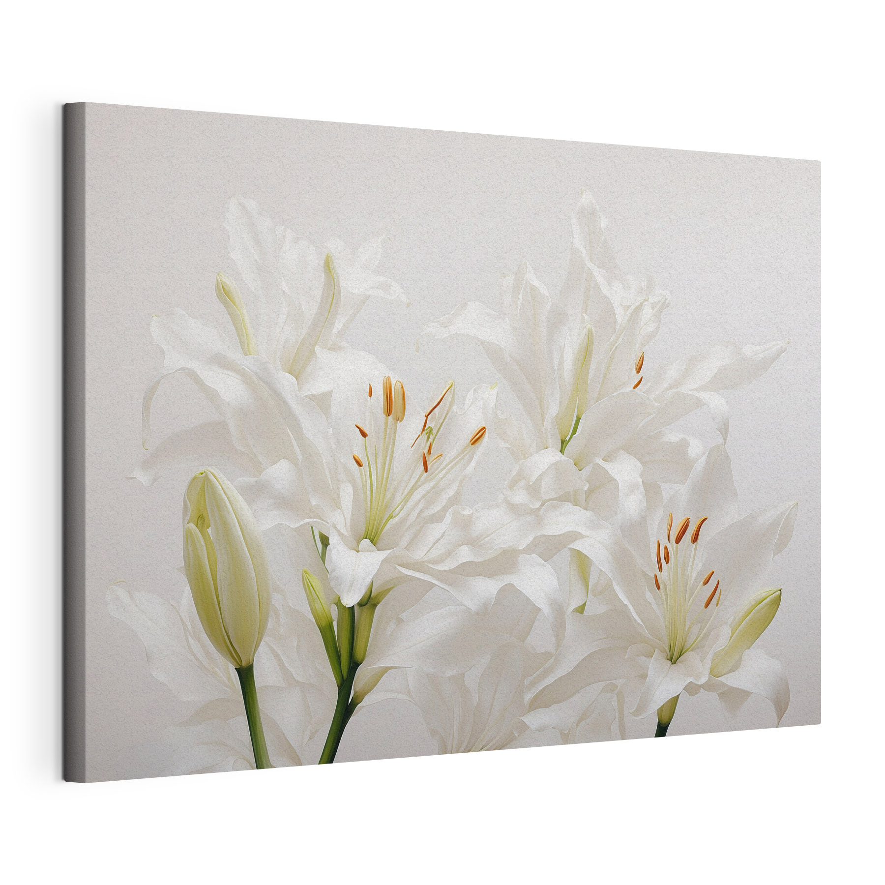 Group of white flowers