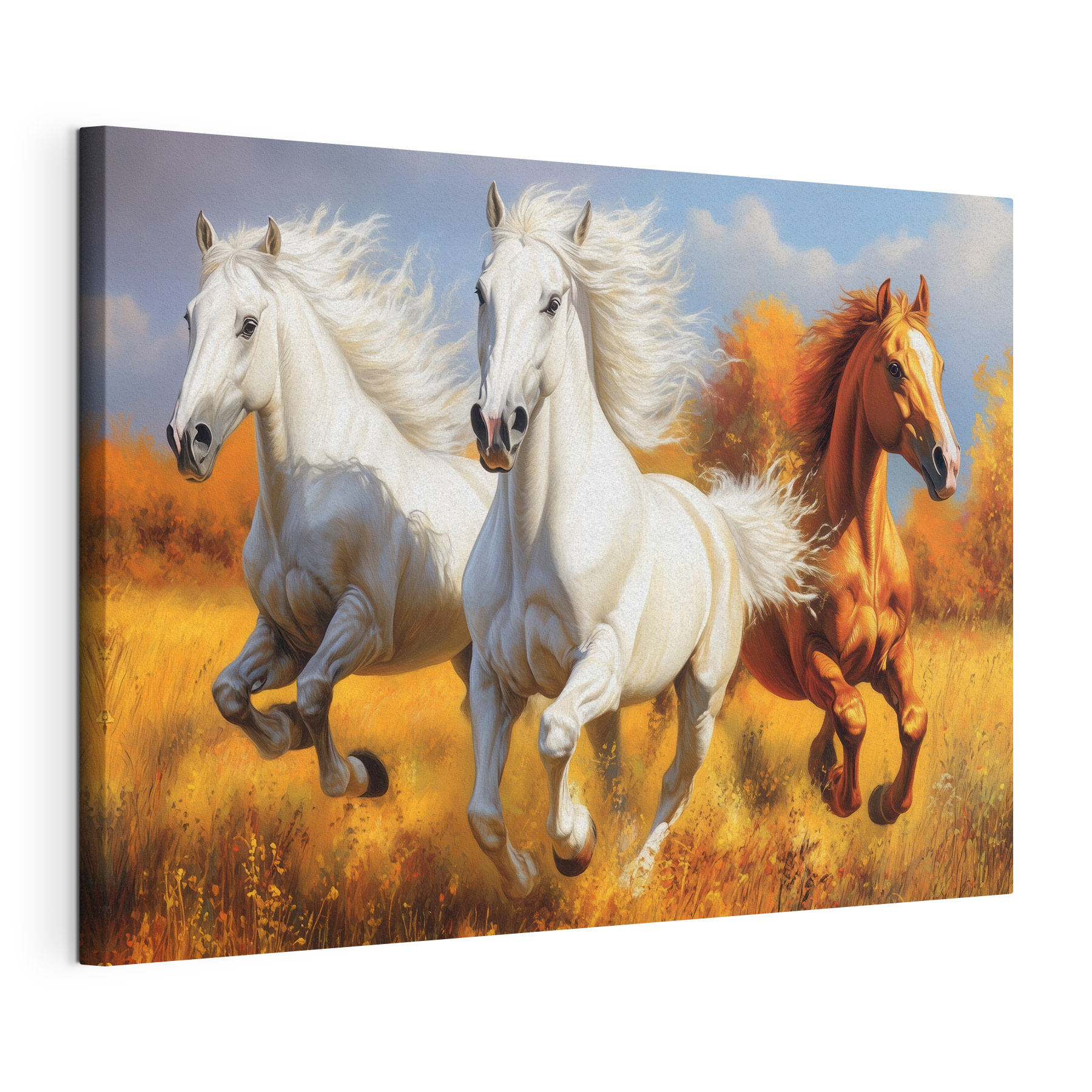 Group of horses running in a field