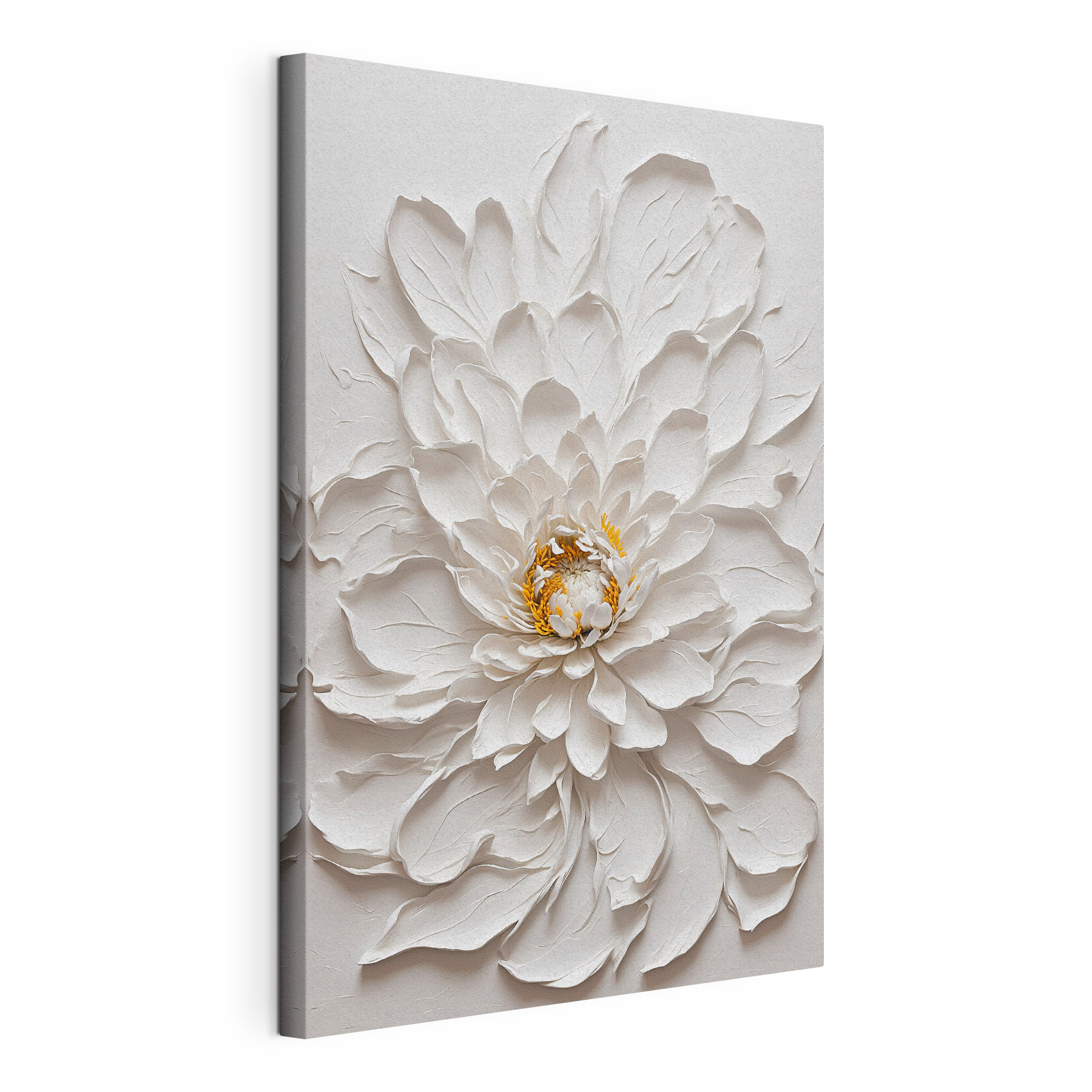 White flower with yellow center