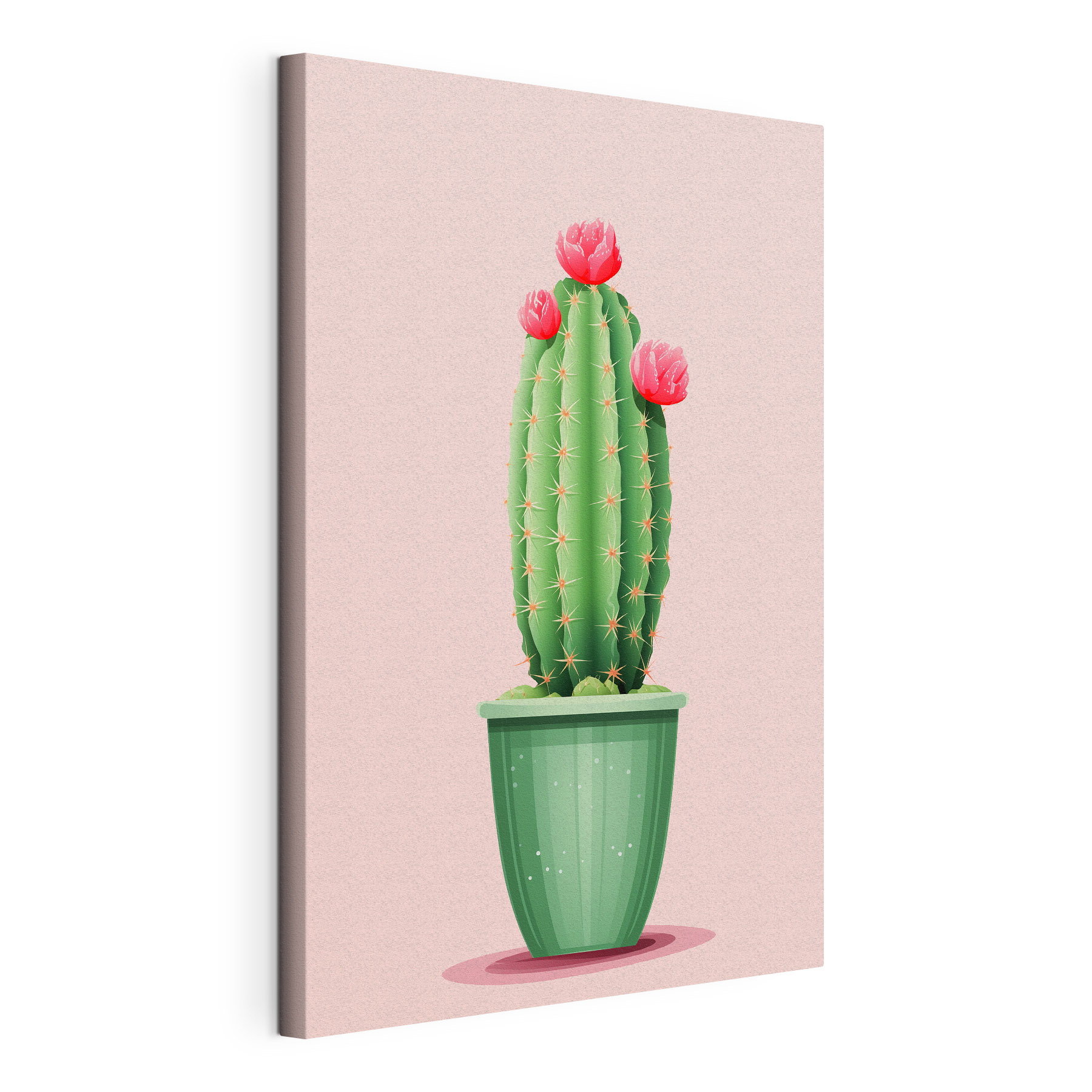 Cactus with flowers in a pot Cactus with flowers in a pot