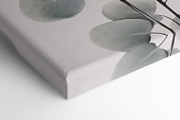 Delicate leaves on a minimal backdrop