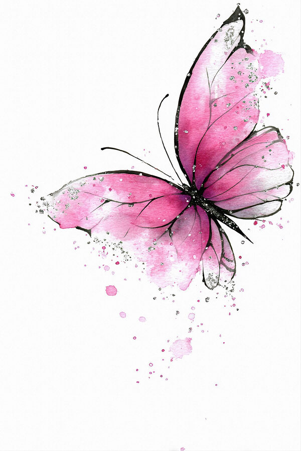 Delicate pink butterfly on a canvas Delicate pink butterfly on a canvas