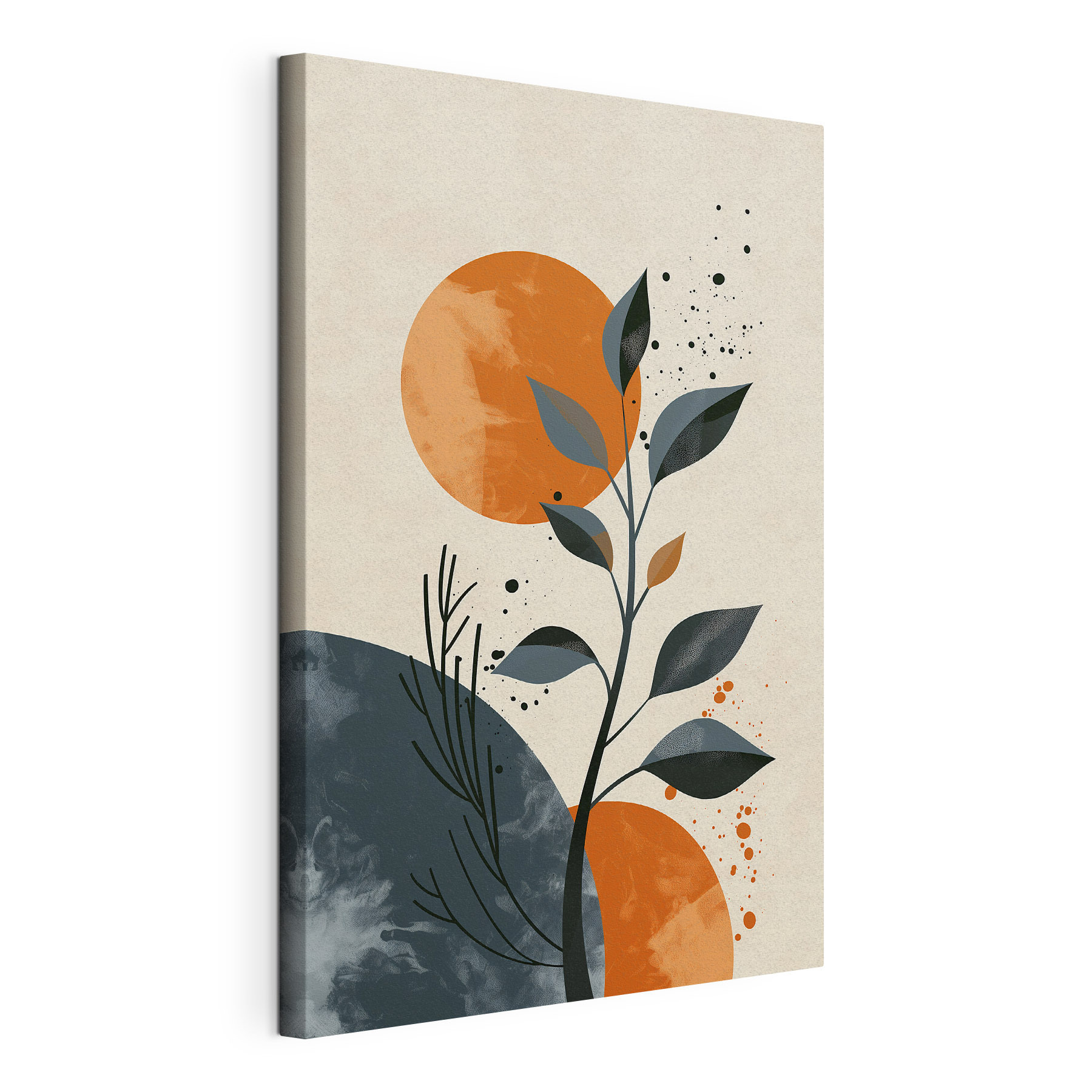 Plant with leaves and orange circles