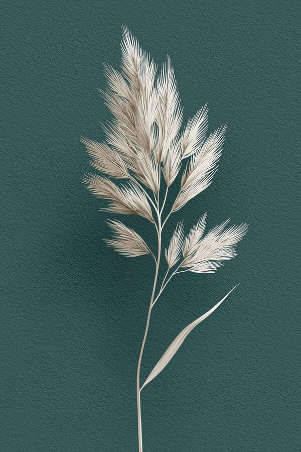 White plant with long leaves