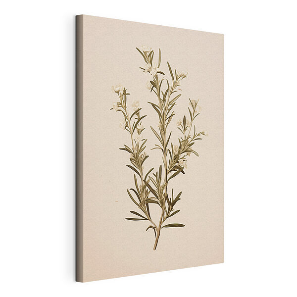 Plant with white flowers