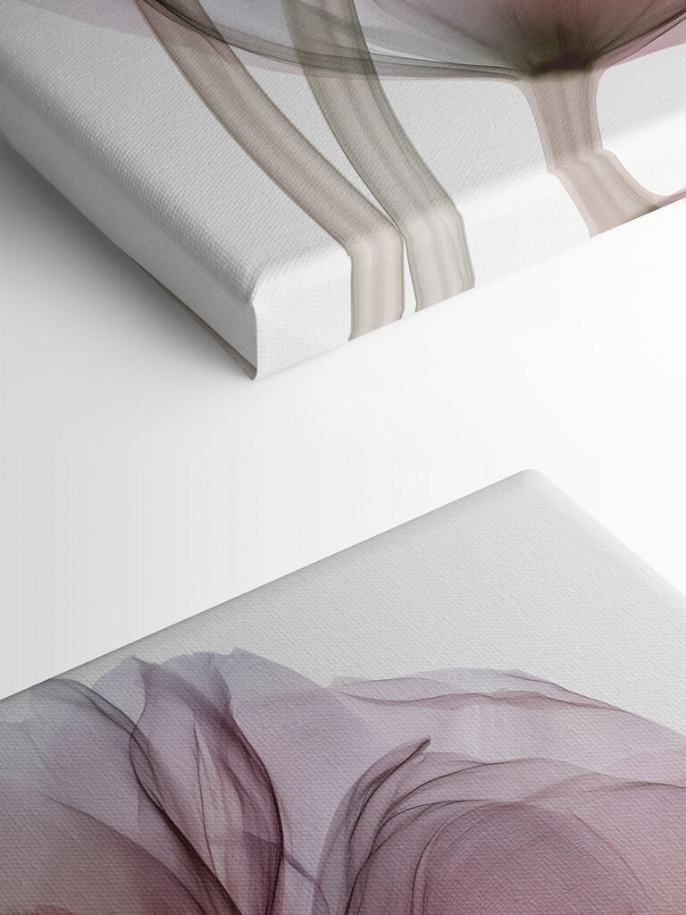 Delicate petals dancing in soft hues