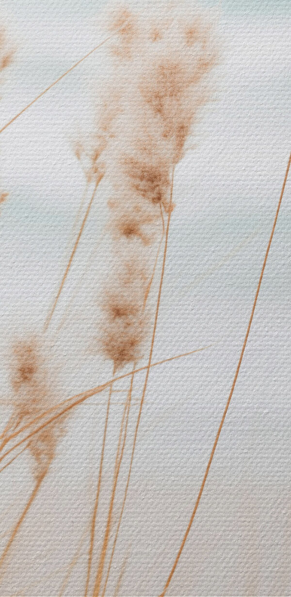 Soft grasses sway by gentle waves