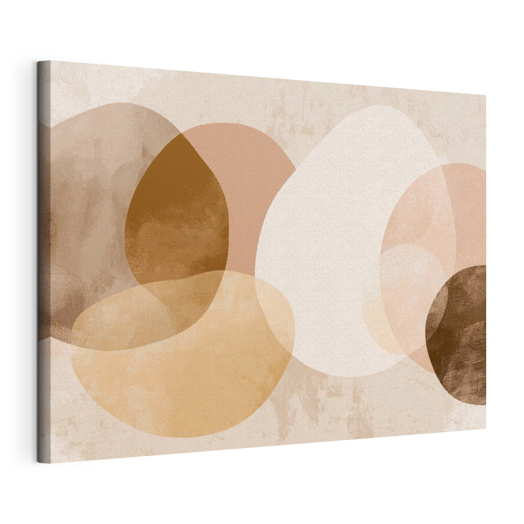 Group of brown and white circles Group of brown and white circles