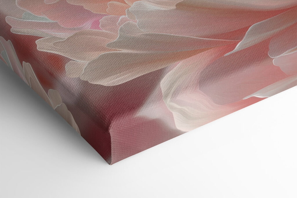 Soft petals in gentle pastel hues