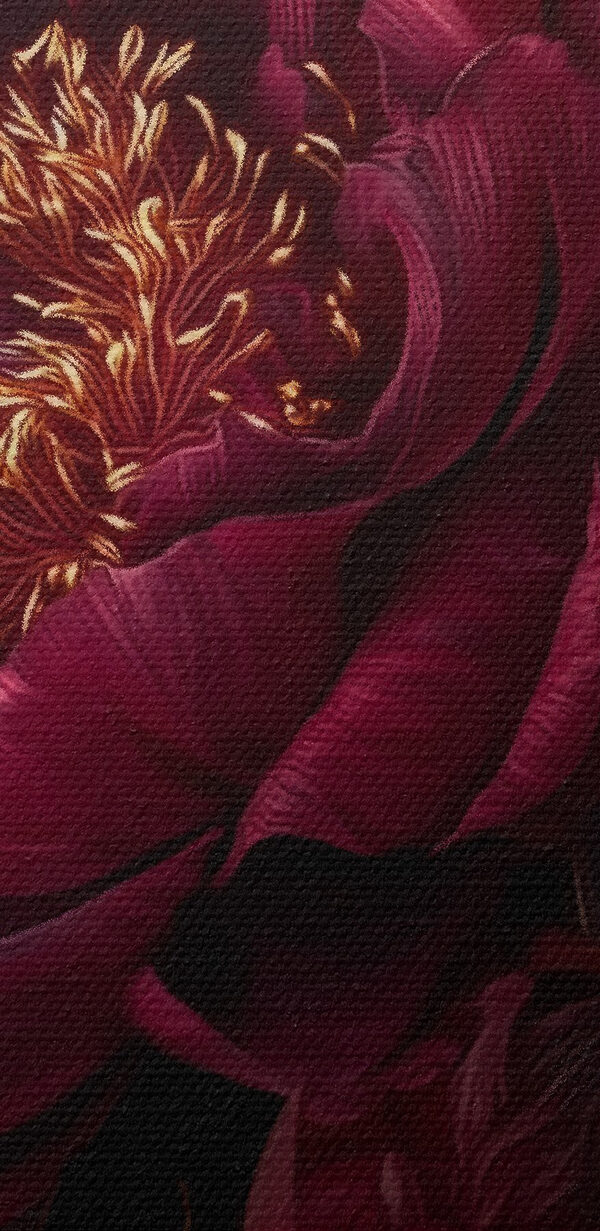 Blooming beauty in rich hues