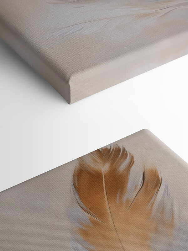 Soft feathers against a muted background