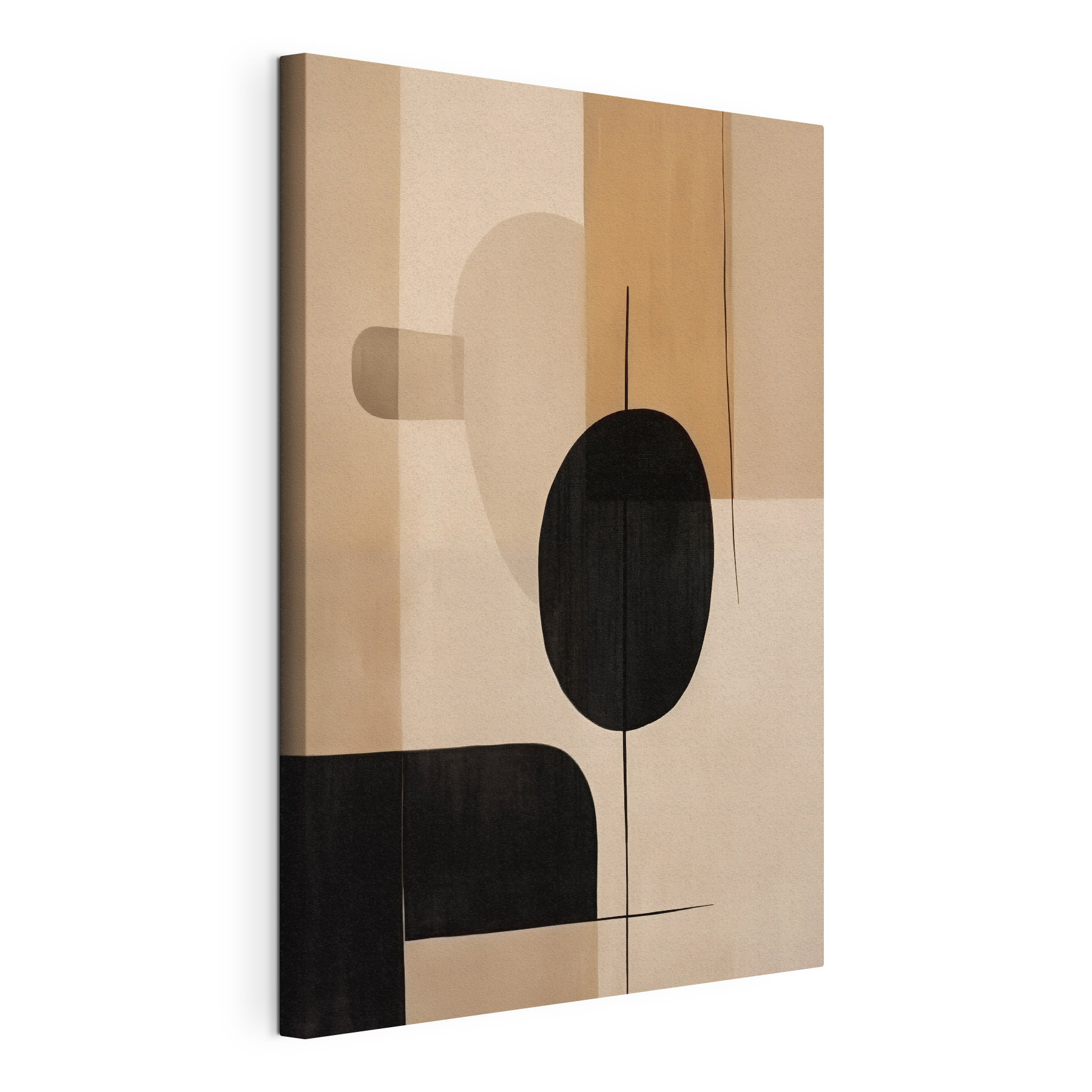 Painting of a black and white circle and oval shapes