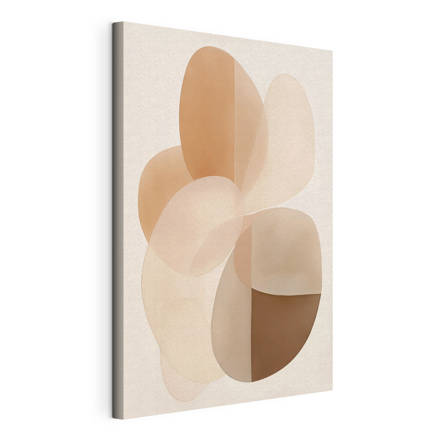Soft curves in warm tones Soft curves in warm tones