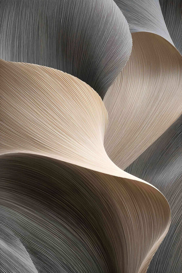 Flowing lines create subtle elegance