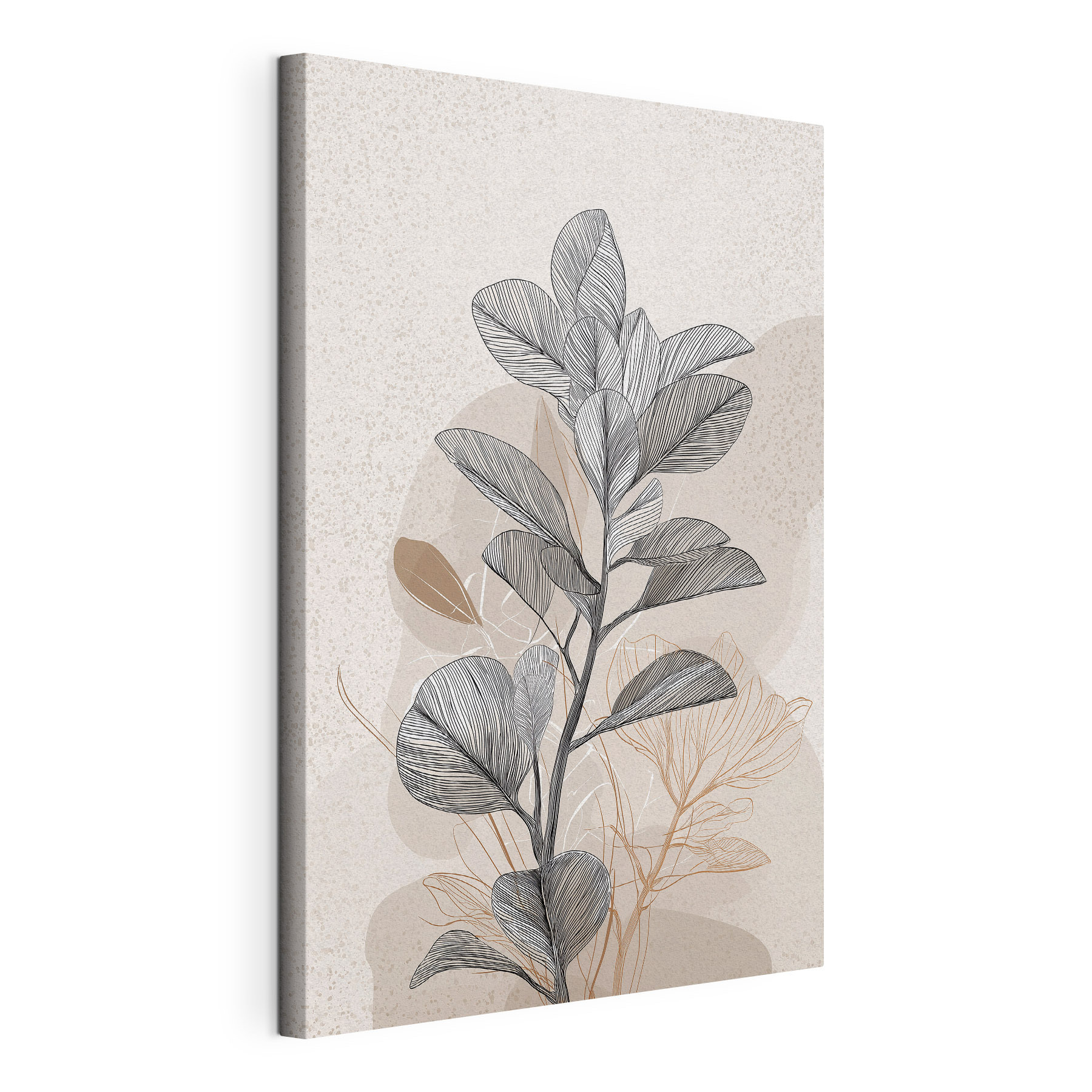 Plant with black and white leaves