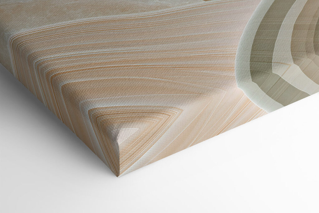Soft curves and gentle hues blend together Soft curves and gentle hues blend together