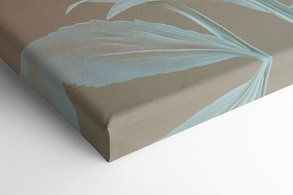 Delicate blooms in soft hues