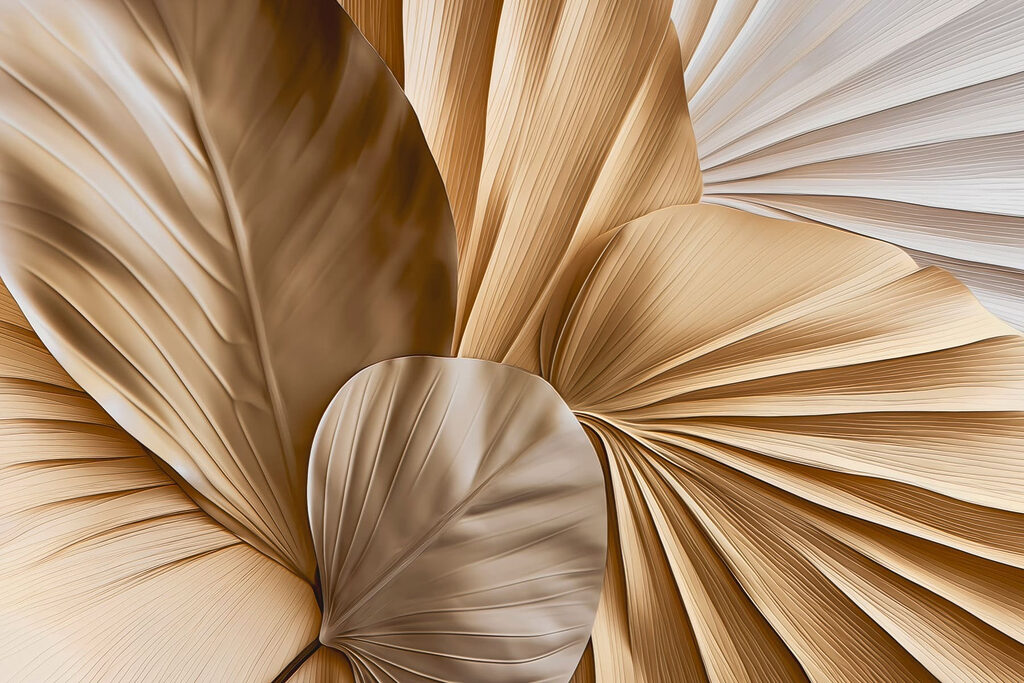 - Elegant layers of natural forms