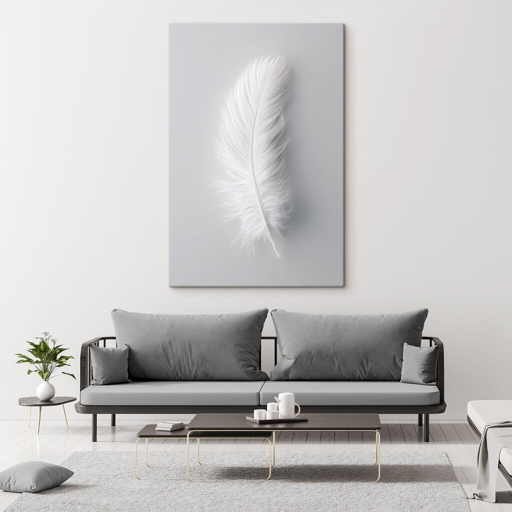 White feather on a white background