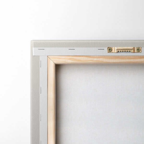 Pampas grass in soft pastel tones