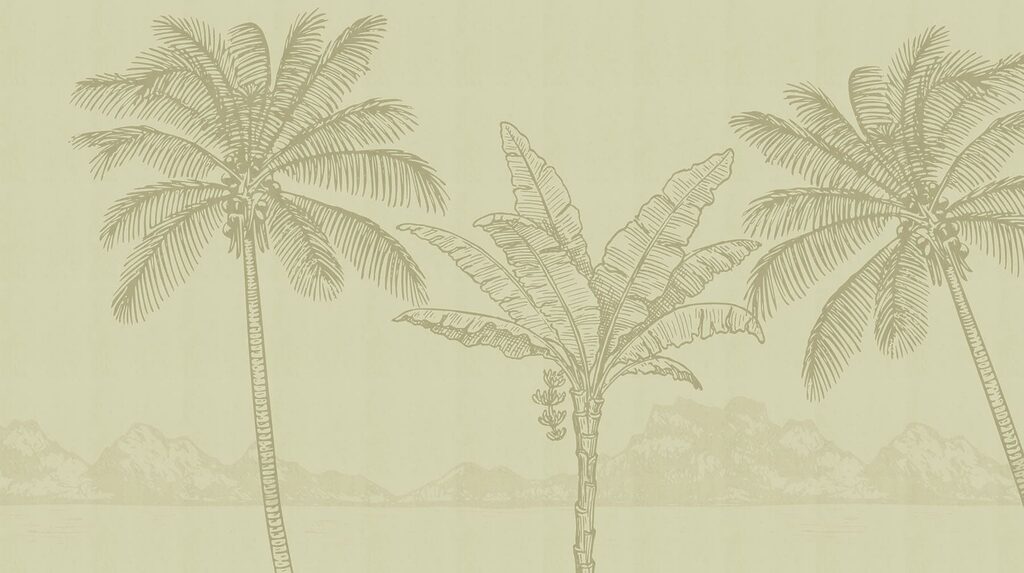 Palm trees and a beach