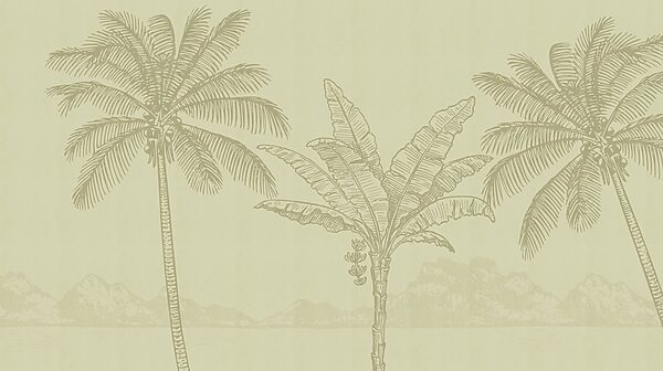 Palm trees and a beach